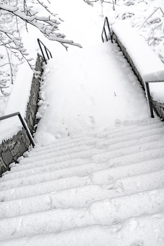 楼梯在冬天的森林降雪后