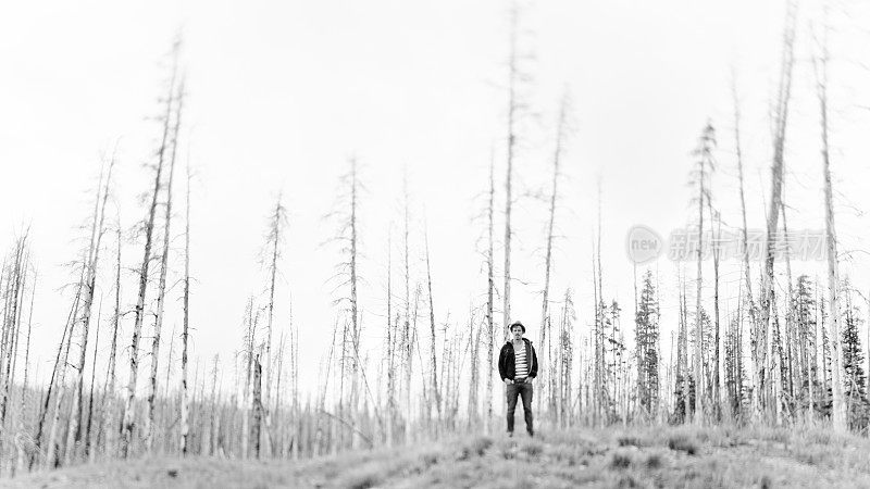 一个年轻人独自站在烧毁的森林里