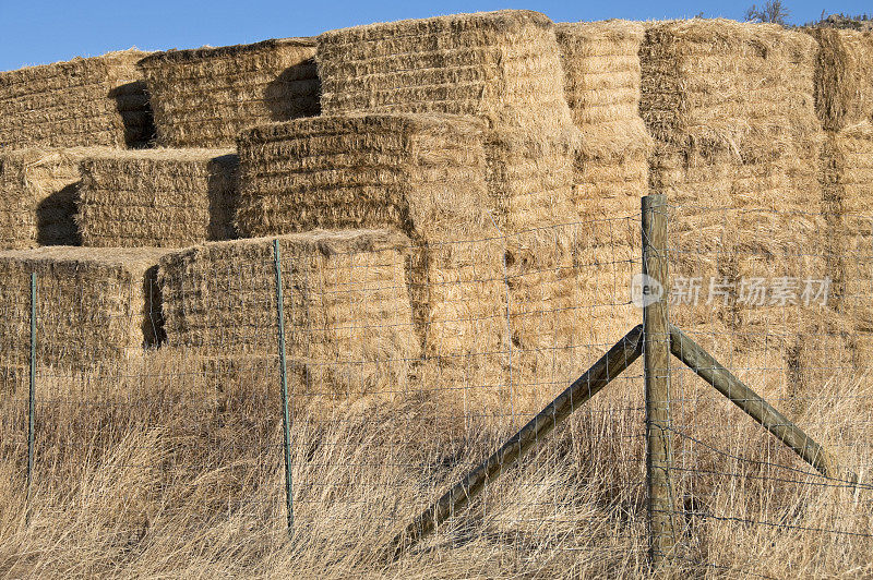 科罗拉多州的牧场上堆放着干草堆