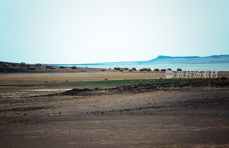 图尔卡纳湖帐篷营地(肯尼亚)