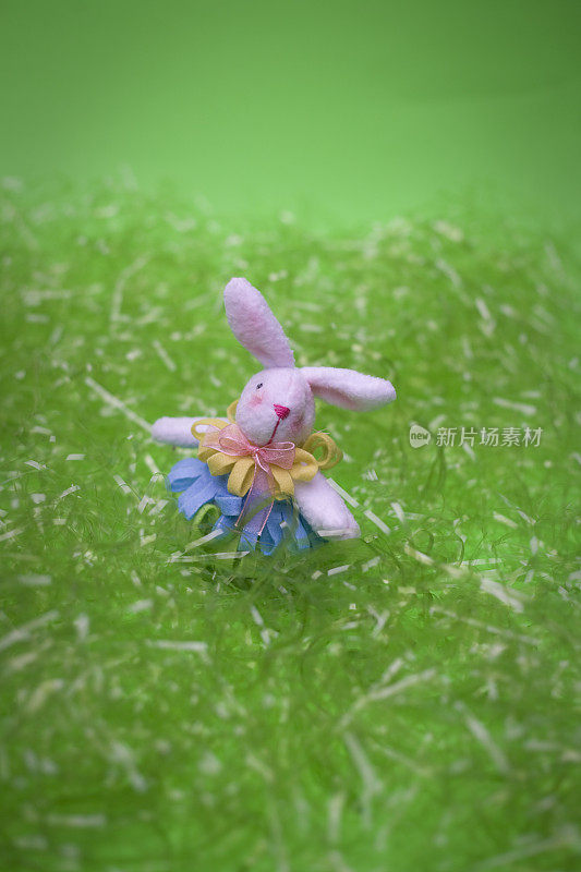 兔子在假草地上