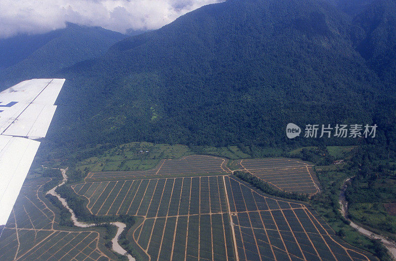 飞机在洪都拉斯皮科博尼托国家公园降落菠萝