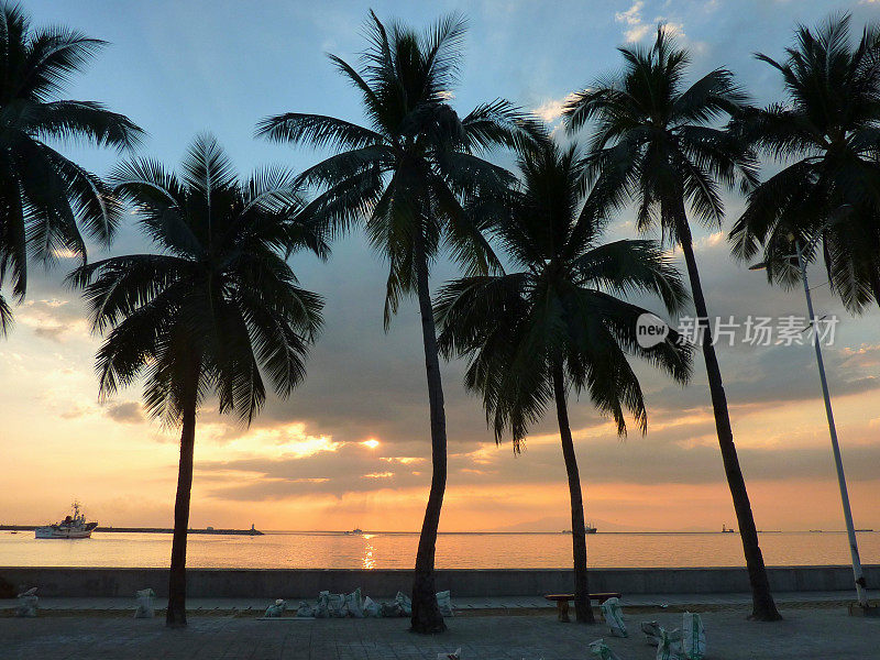 日落时分，菲律宾马尼拉湾的棕榈树