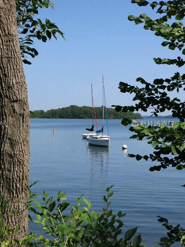 梅诺纳湖，麦迪逊，威斯康辛州帆船，树枝和树干