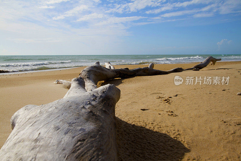 长长浮木，金色海滩，天空，地中海海景