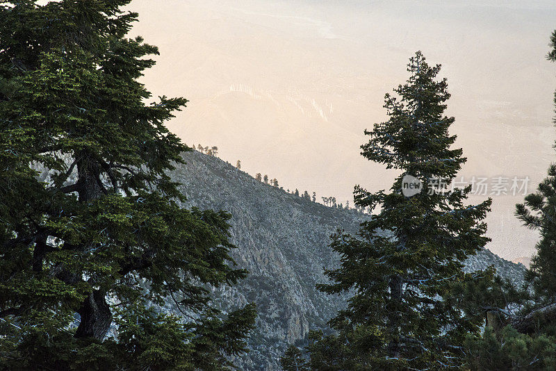 科切拉山谷和棕榈泉