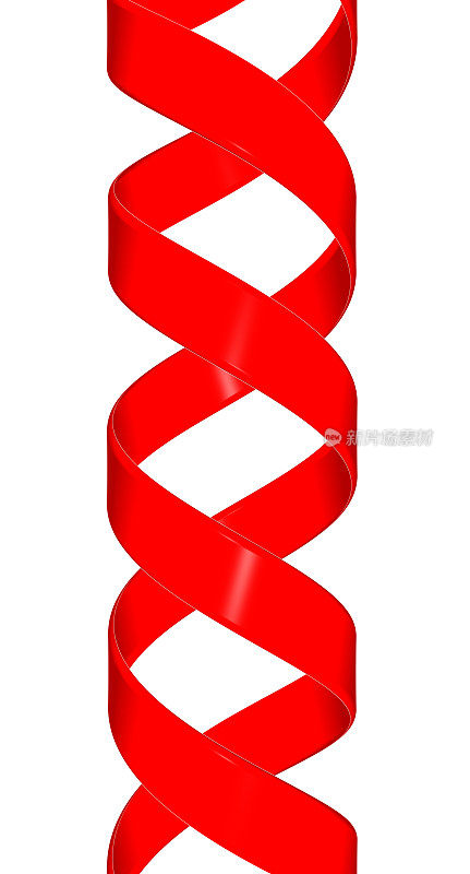 大型DNA