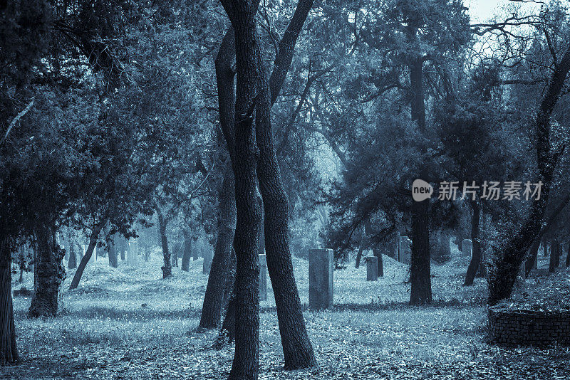 中国山东省曲阜孔子公墓