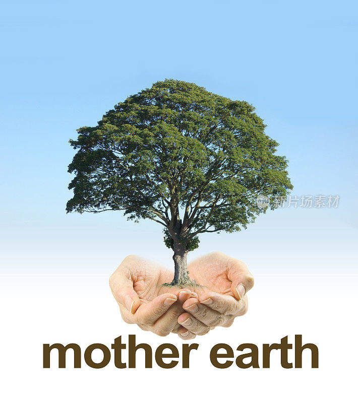 爱护地球母亲