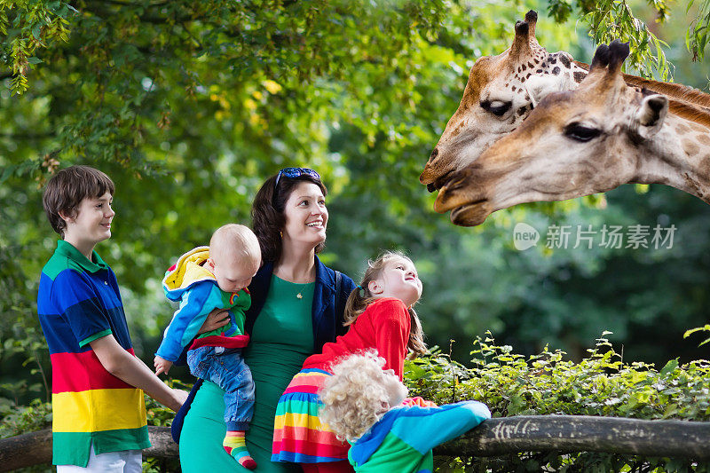 妈妈和孩子们在动物园喂长颈鹿