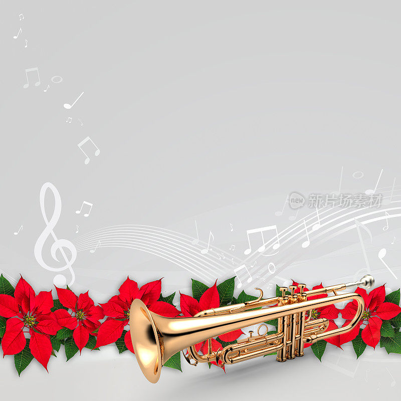 喇叭用红一品红花装饰圣诞