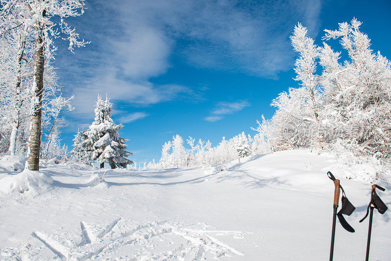 特写的越野滑雪杆在雪，欧洲