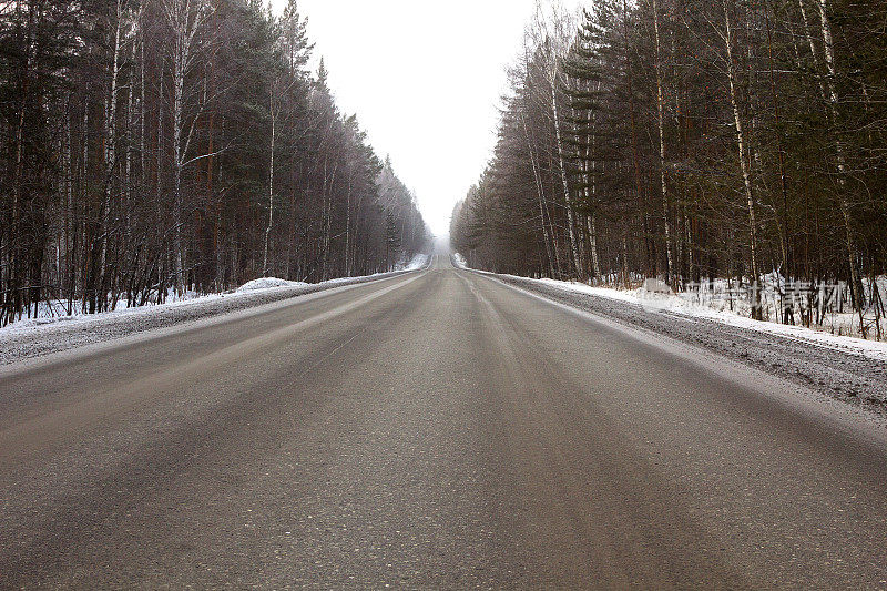 穿越冬日森林的道路