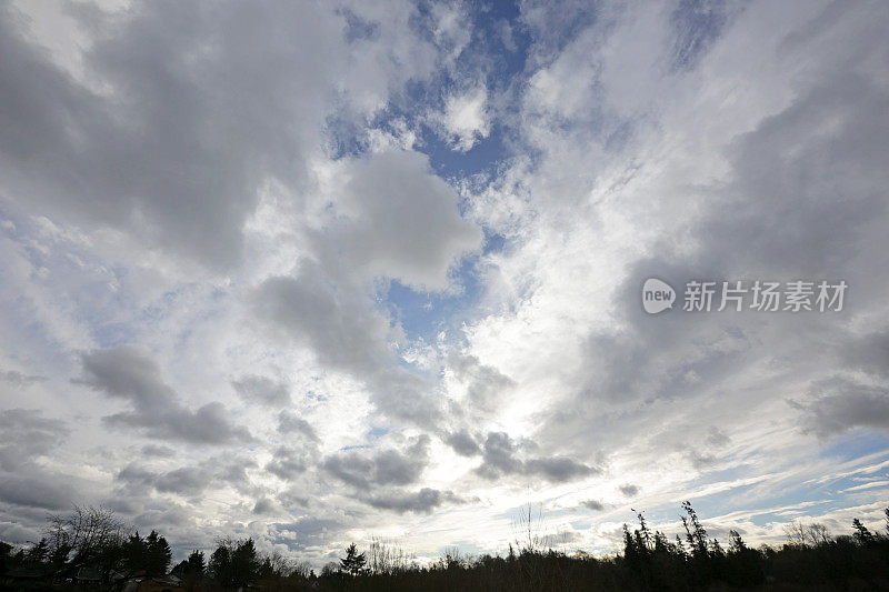 加拿大不列颠哥伦比亚省湿地上空的暴风雨天空，在冬天