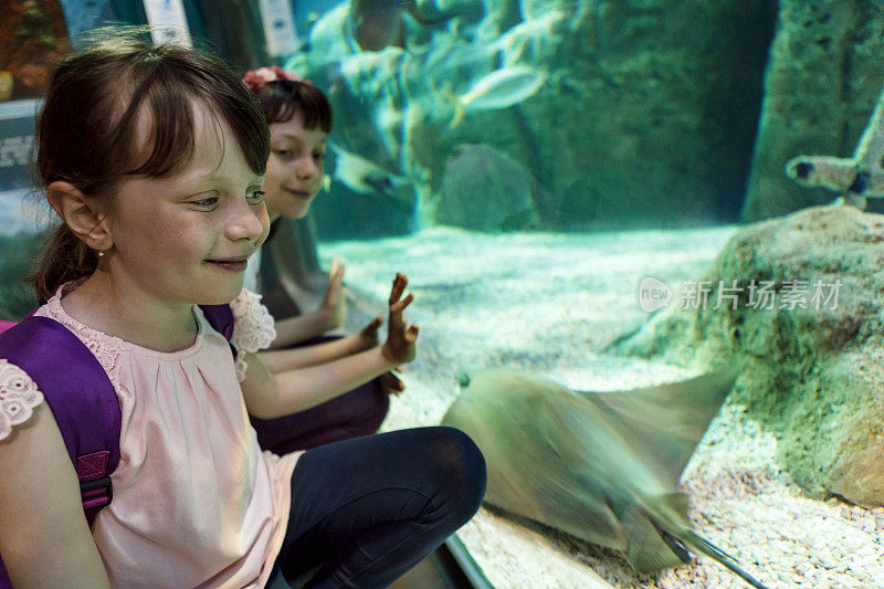 孩子们在一个大水族馆里看鱼