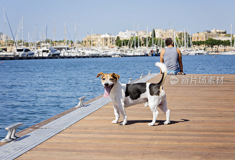 一个人带着狗在浮动码头上散步