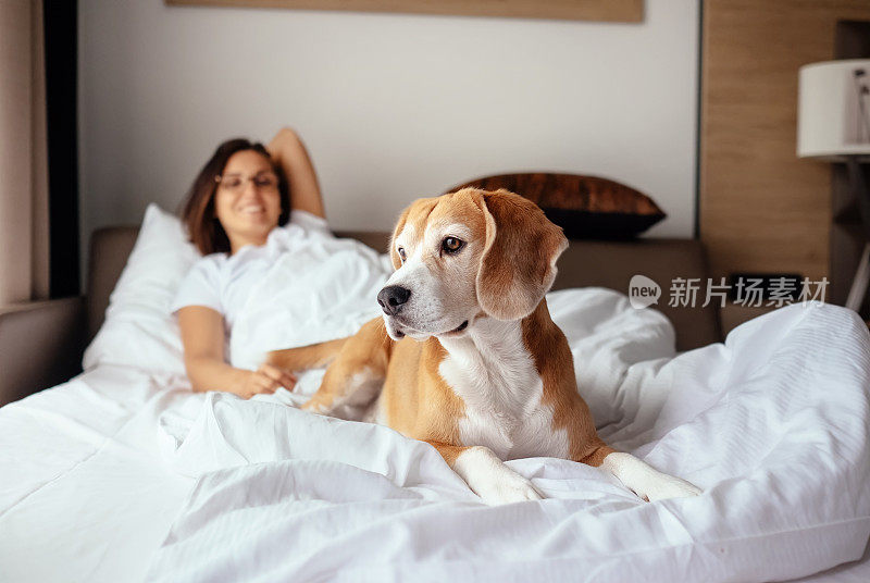 一个女人和她的小猎犬早晨在床上相遇