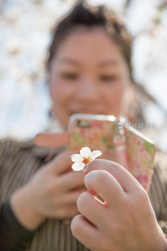 日本女人拍照的花