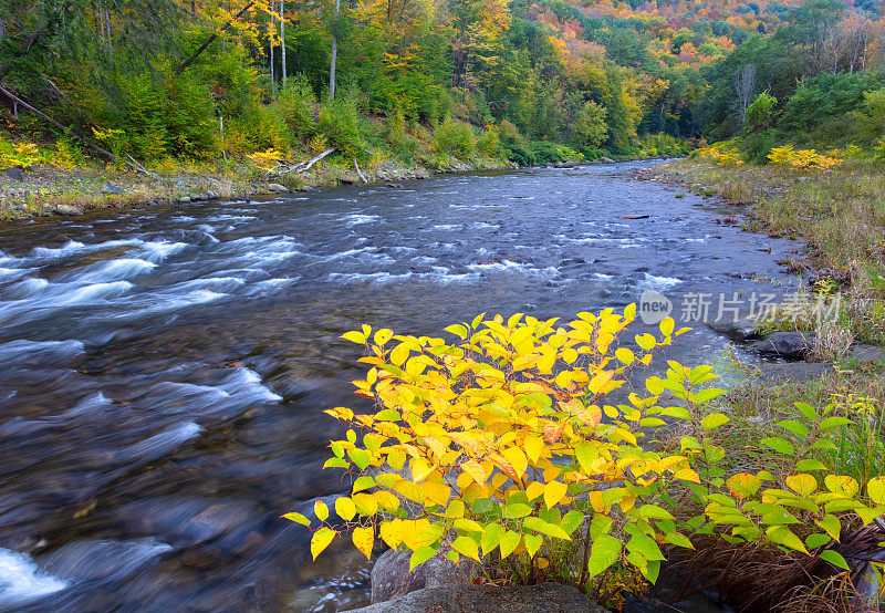 佛蒙特州青山中的新英格兰溪流和秋叶
