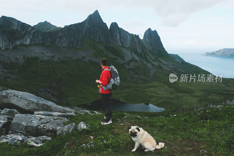 人们和狗在挪威北部的山上徒步旅行