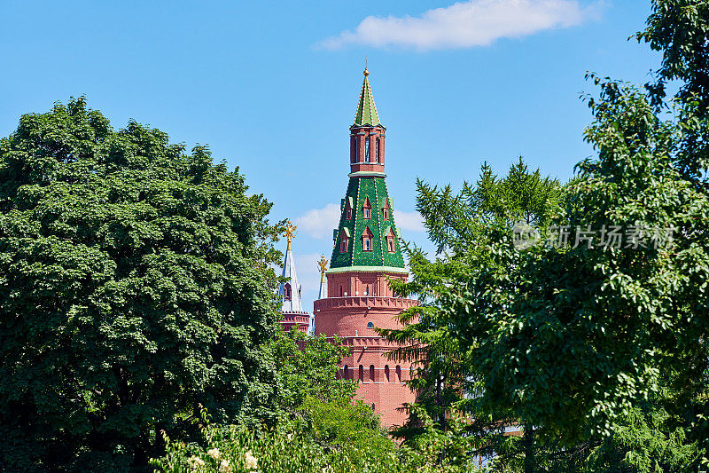 克里姆林宫城堡和花园，莫斯科，俄罗斯