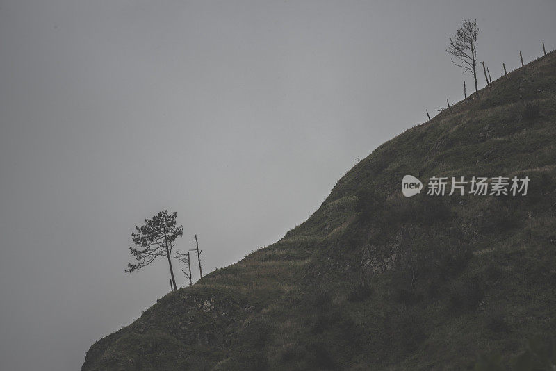 马德拉景观，诺瓦和莫伊尼奥莱瓦达步行