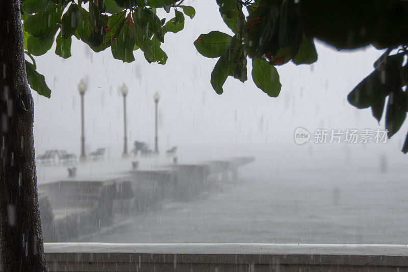 多雨的码头