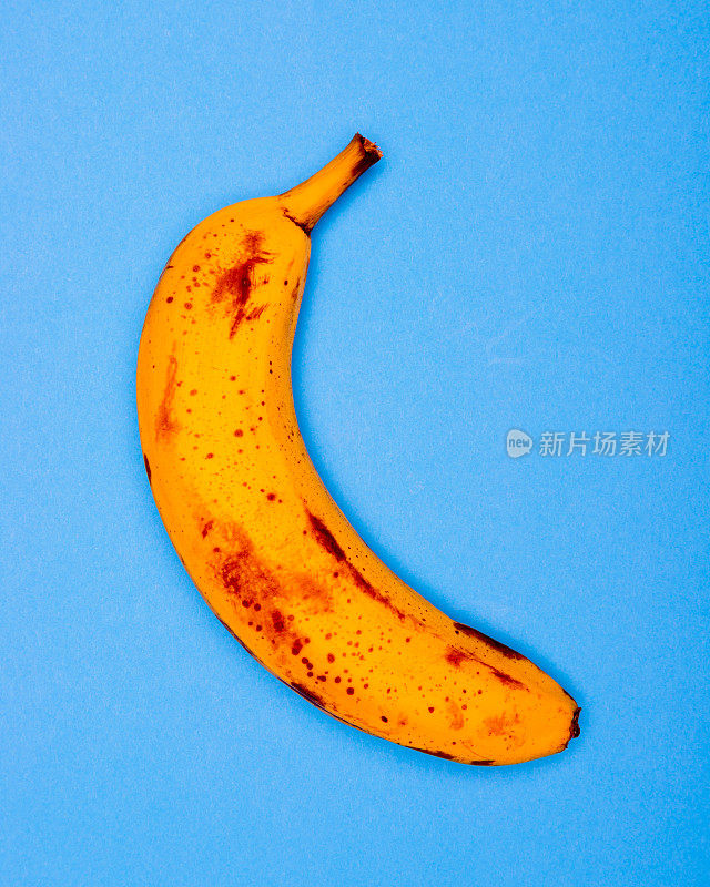 时髦成熟的香蕉流行艺术风格，从上面素色的蓝色背景