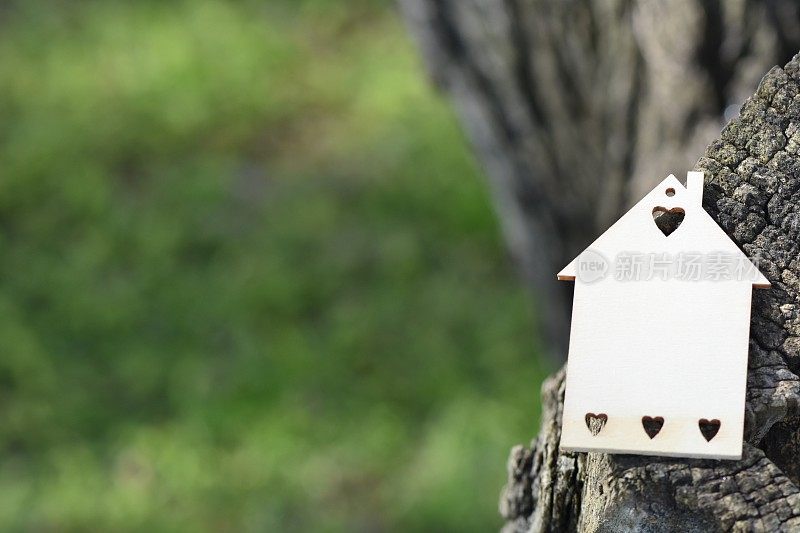 挂在树上的房子模型