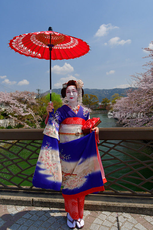 穿着美子服饰的日本女人在京都的桥上欣赏樱花