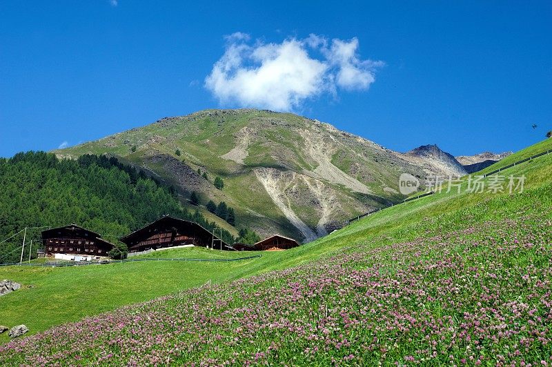 Vernagt湖边的群山