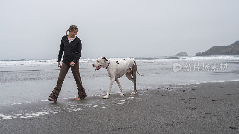 这位40岁的成熟白人女子在太平洋的沙滩上遛着她的大狗。特立尼达，加利福尼亚，美国西海岸。