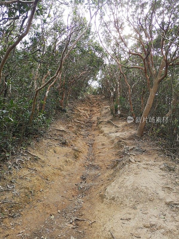 双胞胎徒步旅行，香港岛