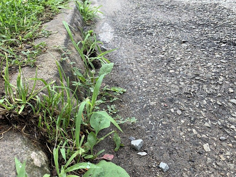 雨后城市的限制