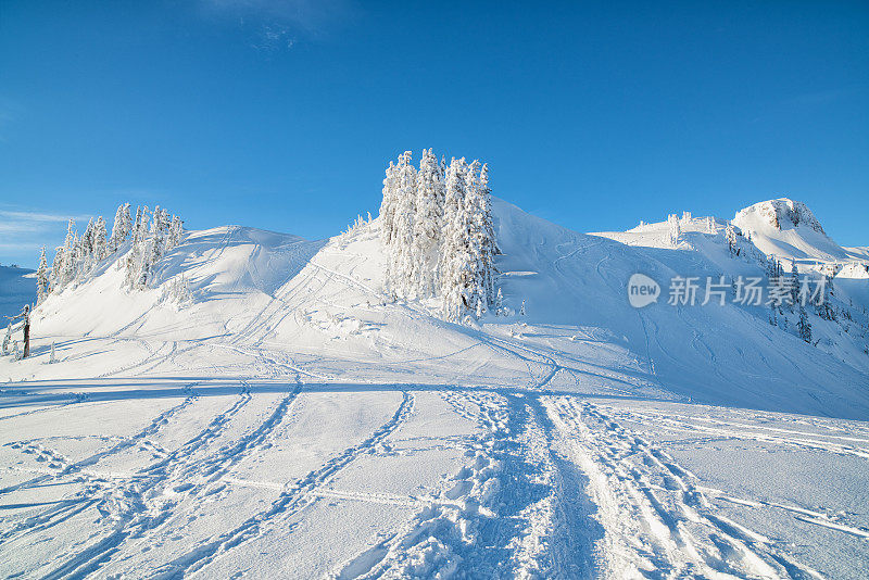 野外滑雪在冬季仙境