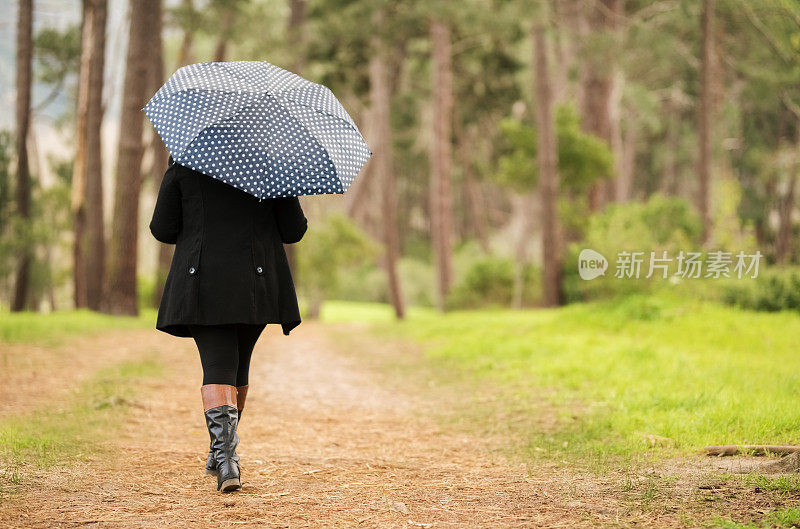 在冬天在森林里散步