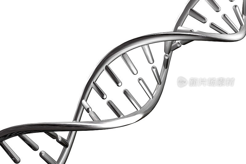 白色背景上分离出的银色金属DNA