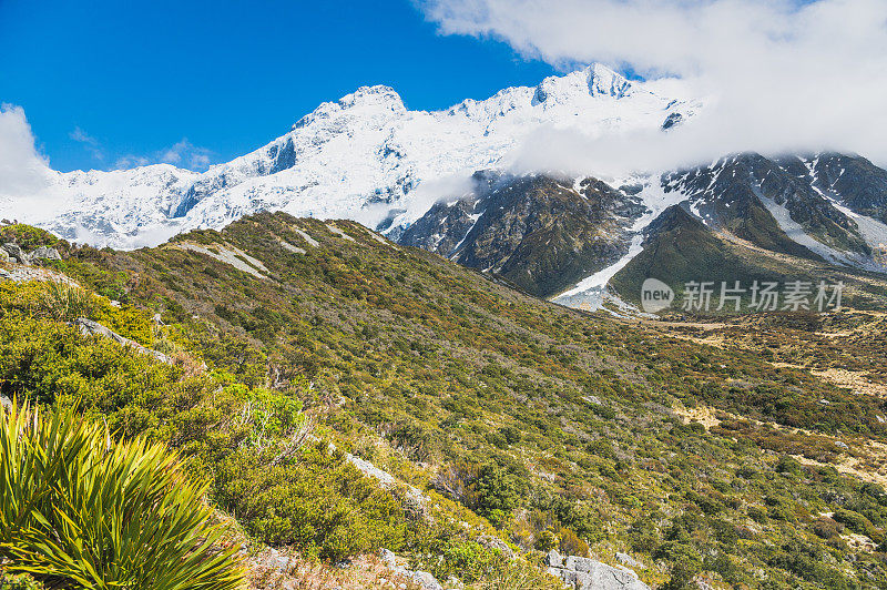 新西兰风景优美的库克山在夏季以新西兰南岛的自然景观为背景