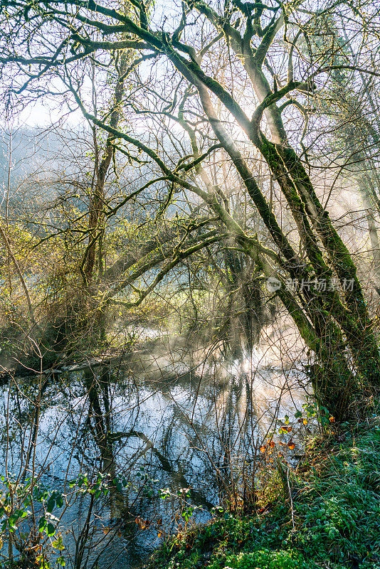 法国南部普罗旺斯地区一条有晨雾的小河