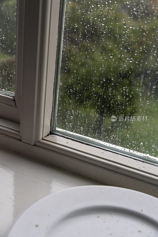 下雨天透过窗户看到的后花园