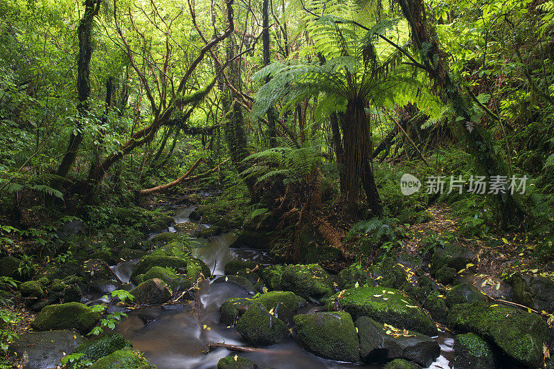 新西兰马泰瀑布步道的风景