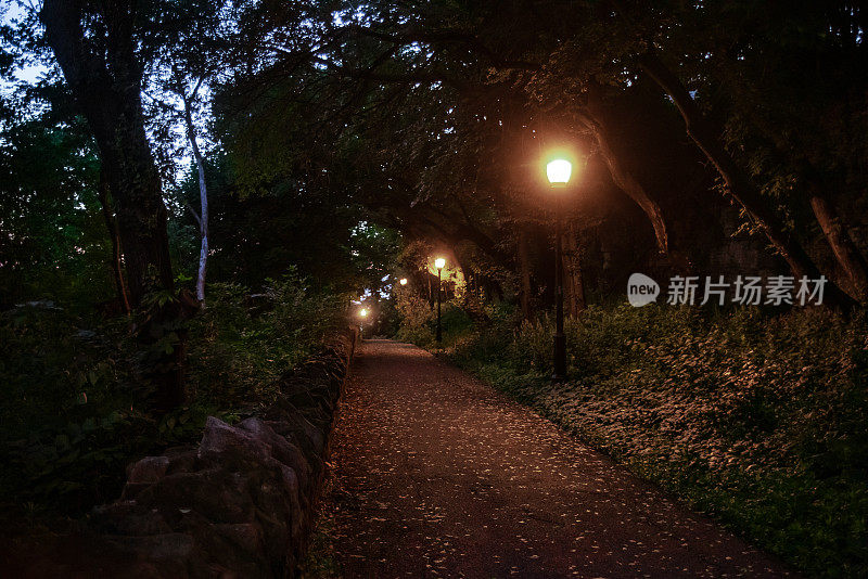 夜晚有街灯的小路