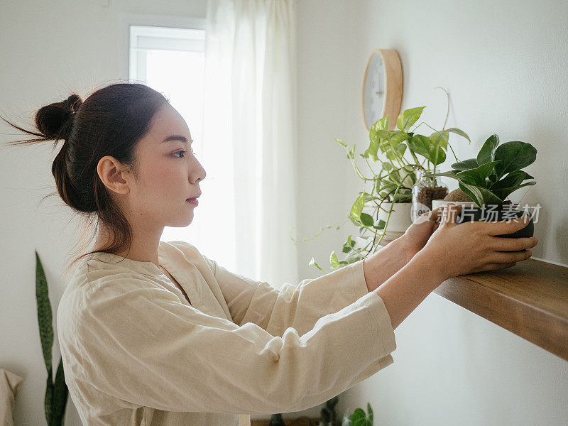 家庭爱好:时髦女性在她的房间里装饰和照料植物