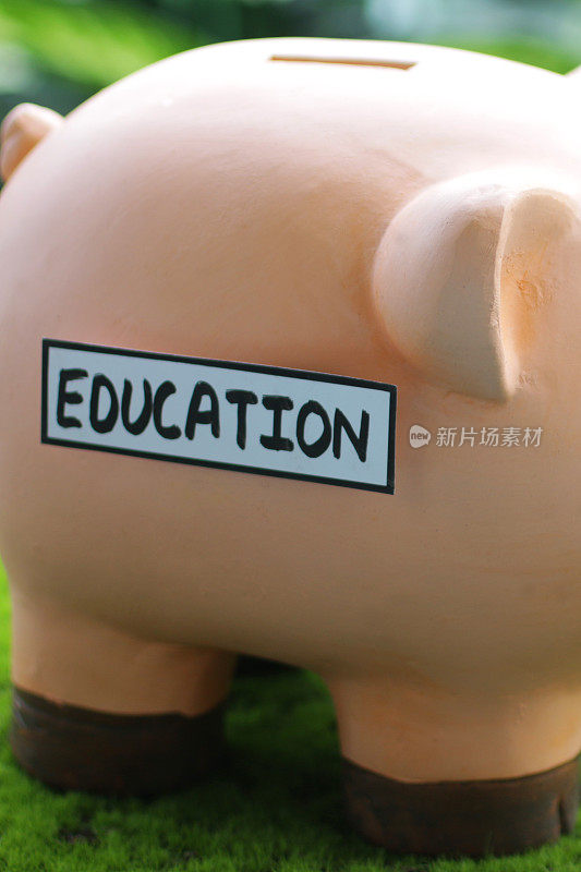 特写图像的小猪银行与插槽顶部与教育标签，家庭财务和储蓄的概念