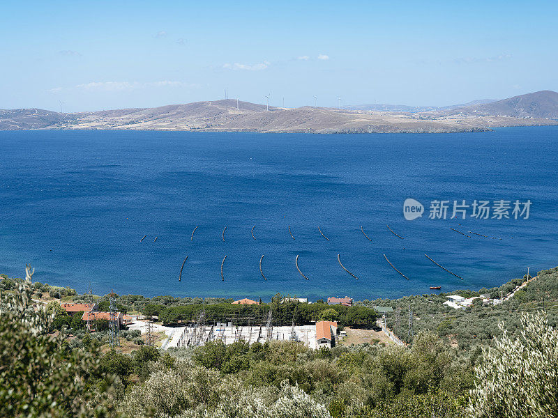 土耳其的海鱼养殖场