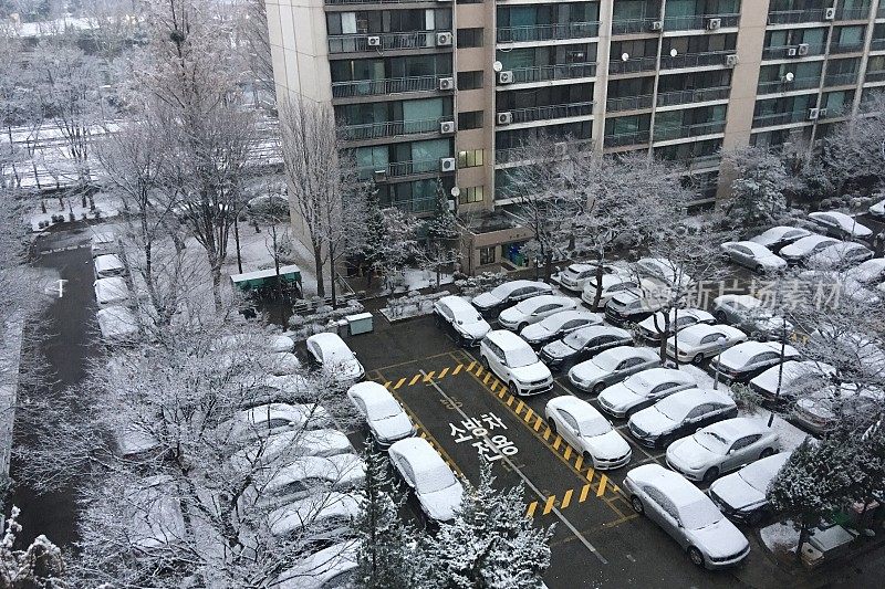 首尔的第一场雪