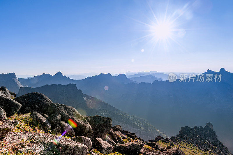 针叶林。西伯利亚。天山景观