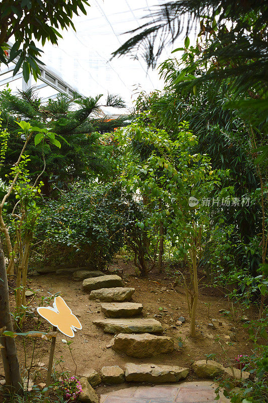 石阶带花，后院里有植物花园