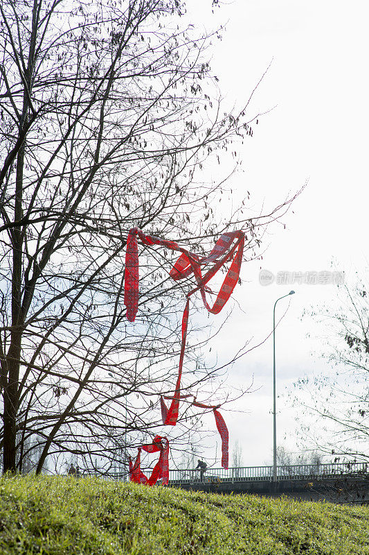 冬天，塑料卡在树上，一个骑自行车的人的剪影
