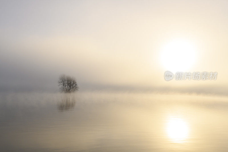 在一个寒冷的冬天的早晨，薄雾从IJssel河升起